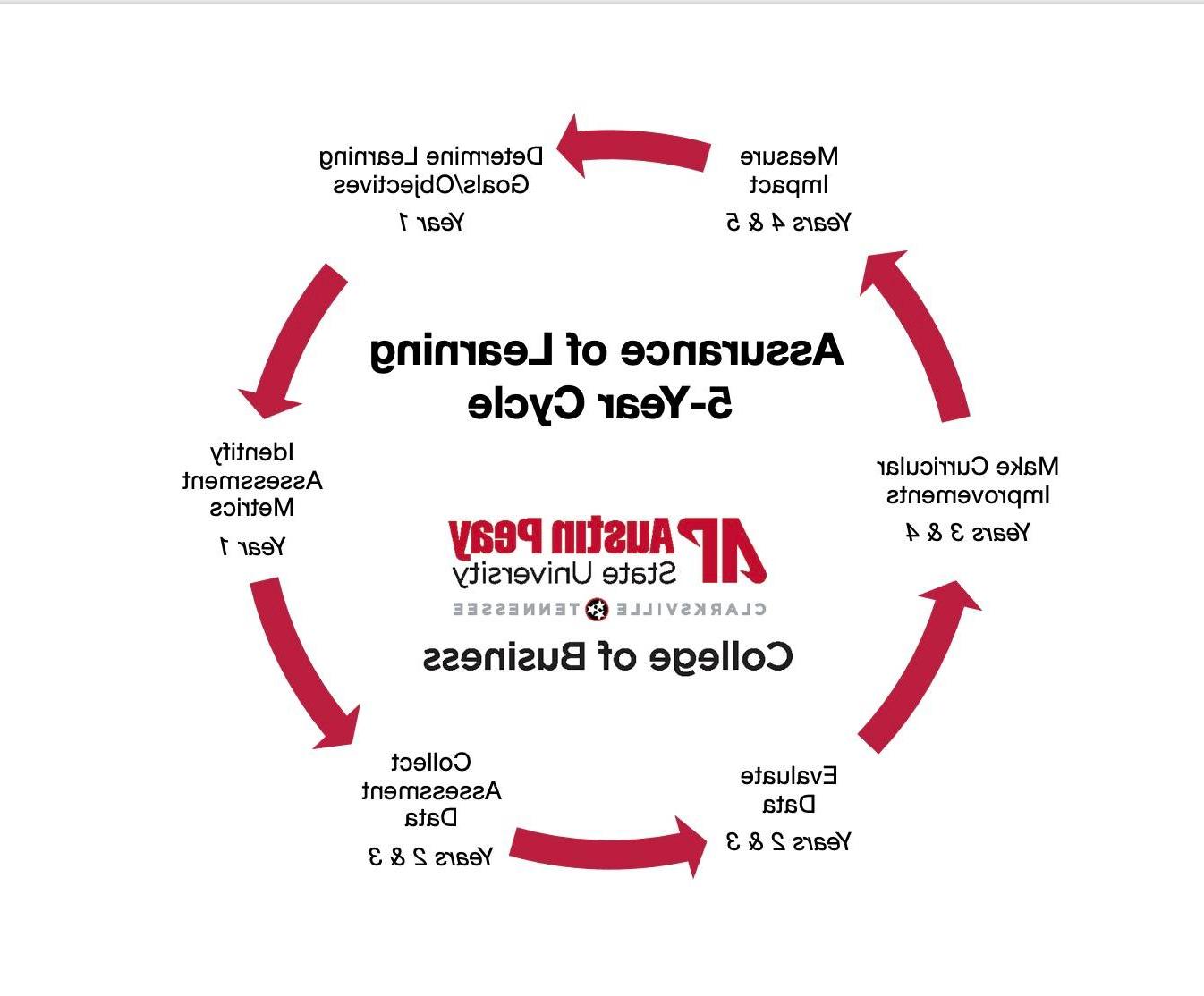 5 year assessment cycle